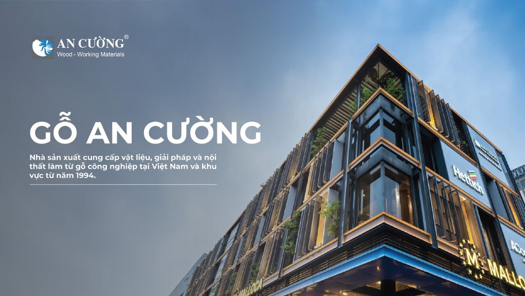 Vật liệu nội thất gỗ An Cường trong thiết kế căn hộ