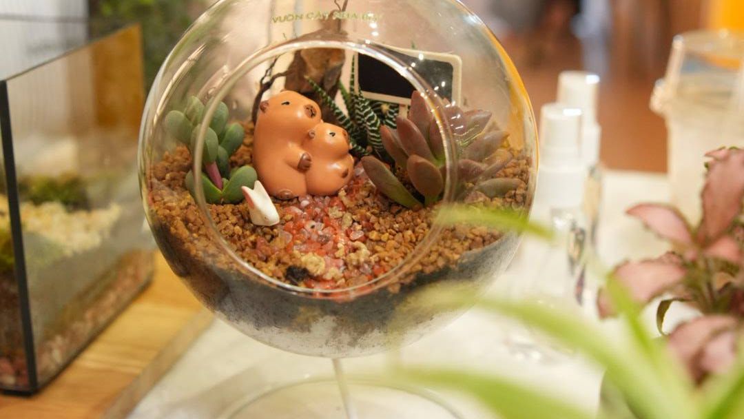 Hình ảnh những tác phẩm Terrarium đang được hoàn thiện