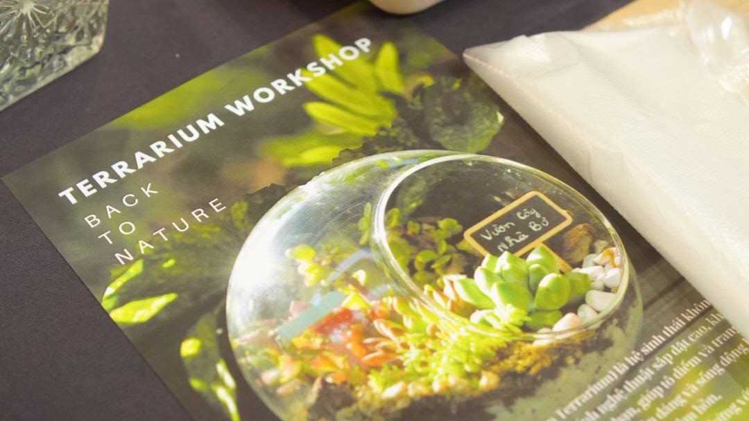 Hình ảnh chi tiết các vật liệu và dụng cụ cho việc làm Terrarium